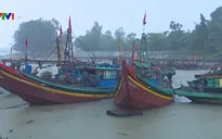 Nghệ An chủ động ứng phó với mưa bão