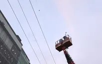 Giải cứu chim cắt lưng xám quý hiếm mắc kẹt trên đường dây điện