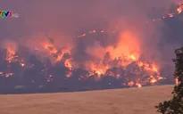 Bang California (Mỹ) ban bố lệnh sơ tán sau hàng loạt vụ cháy rừng