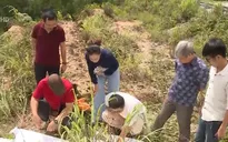 Khảo sát đánh giá nguyên nhân gây sạt lở tại Lai Châu