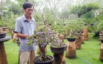 Nâng cao hiệu quả mô hình hợp tác xã nông nghiệp kiểu mới