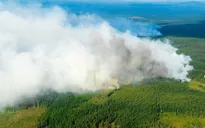 Cháy rừng lan rộng tại Thụy Điển do nắng nóng