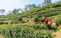 Trung Quốc nỗ lực kéo lao động về các vùng quê‎