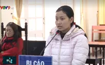 Lâm Đồng: Đối tượng làm giả giấy tờ đất để lừa đảo lĩnh án 12 năm tù
