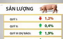 Tăng giá thịt lợn chỉ là tạm thời