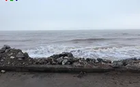Mưa lớn gây vỡ đê ở Nghệ An, hàng trăm ha lúa ngập trắng
