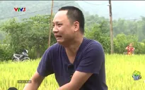 Bố ơi! Mình đi đâu thế?: Nguyễn Hải Phong hốt hoảng vì... mò phải ếch