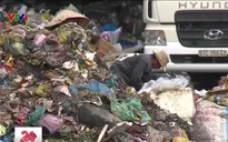 TP.HCM: Người dân khốn khổ sống cạnh bô rác tạm gần 20 năm