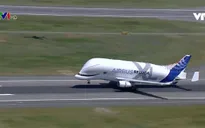 Chiêm ngưỡng máy bay cá voi trắng khổng lồ của Airbus