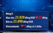 Tỷ giá trung tâm giảm mạnh