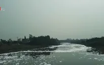Môi trường bị tàn phá vì doanh nghiệp xả thải "bẩn"