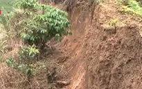 Lâm Đồng bị ảnh hưởng do mưa lũ