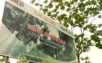 Tây Ban Nha hỗ trợ Việt Nam phát triển cây dược liệu