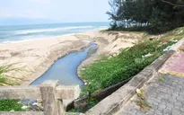 Tập trung xử lý các dự án thoát nước thải ra biển Đà Nẵng