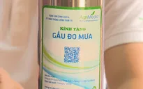 Hỗ trợ 9 tỉnh miền núi phía Bắc thiết bị đo mưa tự động