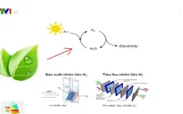 Việt Nam phát triển thành công "lá nhân tạo"