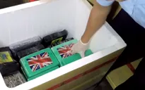 100 bánh cocaine trong container nhập cảng Cái Mép