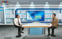 Câu chuyện sở hữu trí tuệ: Thực trạng xâm phạm quyền tác giả trên mạng