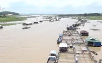 Đồng Nai: Làng bè La Ngà ảm đạm sau vụ hàng nghìn tấn cá chết