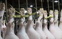 TP.HCM siết chặt truy xuất nguồn gốc nông sản