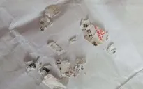 Tấm vé số trúng giải hơn 20 tỷ đồng... tan nát trong máy giặt