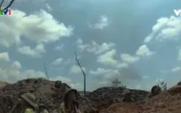 "Cúc ơi!" – Khúc tri ân 10 cô gái Đồng Lộc