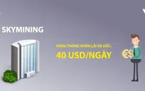 Vì sao nhà đầu tư bị thu hút vào hệ thống Sky Mining?