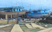Ngư dân loay hoay trước "cơn sốt" gỗ đóng tàu