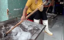 Kiểm tra cơ sở bạch tuộc bẩn: Chủ cơ sở khẳng định không dùng chất cấm