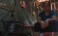 Hệ lụy từ khai thác vàng trái phép tại Bắc Kạn
