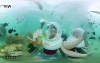 Đi dạo dưới lòng đại dương ngắm san hô tuyệt đẹp tại Nha Trang