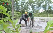 Gương thương binh làm giàu trên vùng đất khai hoang