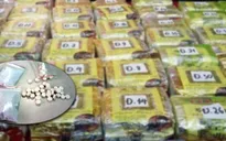 Hà Tĩnh: Triệt phá nhiều chuyên án ma túy lớn trên tuyến biên giới Việt - Lào