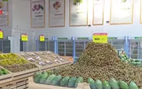 Tuần lễ nhãn và nông sản an toàn Sơn La tại Trung Quốc
