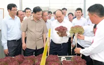 Thúc đẩy đầu tư vào nông nghiệp