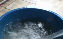 Mỏi mòn chờ nước sạch tại Đồng Tháp