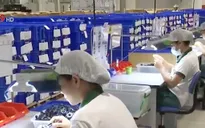 UBND tỉnh Bình Dương gặp gỡ doanh nghiệp FDI