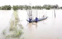 Lũ ở ĐBSCL tăng mạnh do vỡ đập thủy điện ở Lào và triều cường