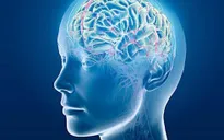 Kích thích não có thể cải thiện trí nhớ trong khi ngủ