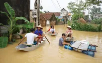 Gia tăng bệnh ngoài da và đau mắt tại vùng ngập lụt Chương Mỹ