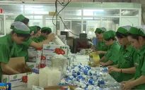 Doanh nghiệp nhựa Việt nỗ lực để tham gia vào chuỗi giá trị