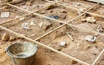 Tìm thấy di cốt voi cổ từng sống cách đây 3 triệu năm