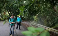 Singapore triển khai chương trình diệt muỗi bảo vệ sức khỏe cộng đồng