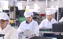 Gần 7 tỷ USD vốn FDI vào khu công nghiệp, khu kinh tế