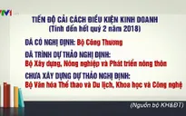 Tiến độ cắt giảm điều kiện kinh doanh rất chậm