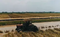 Doanh nghiệp đẩy mạnh đầu tư vào nông nghiệp công nghệ cao