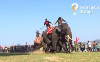 “Thời tiết này đi đâu?”: Mùa hè này về Đắk Lắk cưỡi voi!