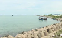 Quảng Ngãi: Các cửa biển đều bị sạt lở, bồi lấp
