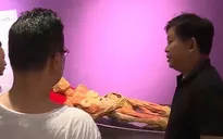 Phản hồi về ý kiến triển lãm cơ thể người