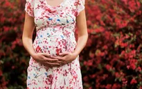 Phụ nữ vô sinh vẫn có thể sinh con nhờ buồng trứng nhân tạo
